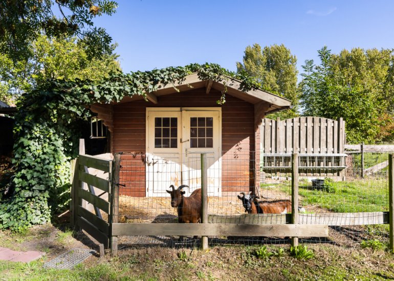  Dorpsstraat 54, Graauw