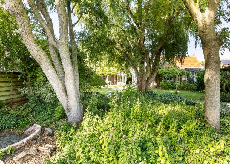  Dorpsstraat 54, Graauw