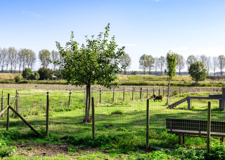  Dorpsstraat 54, Graauw