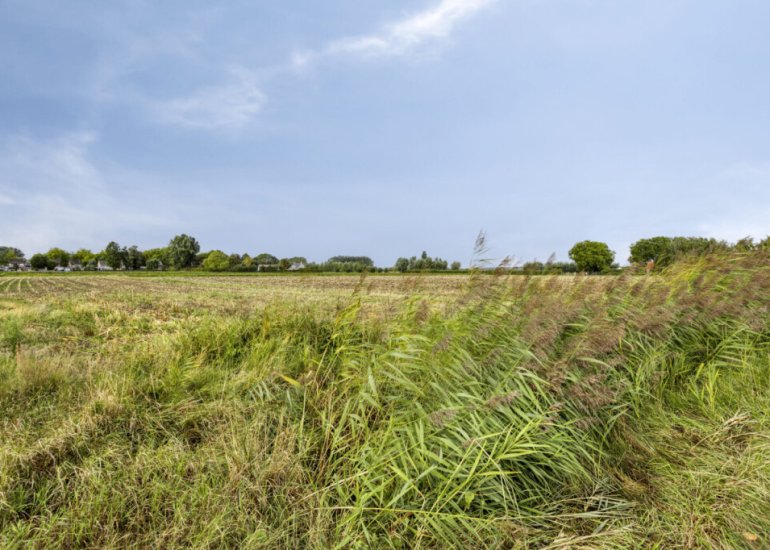  Carmen 48, Sint Jansteen