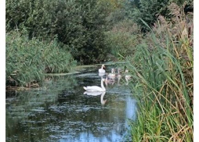  Klapstraat 37, Koewacht