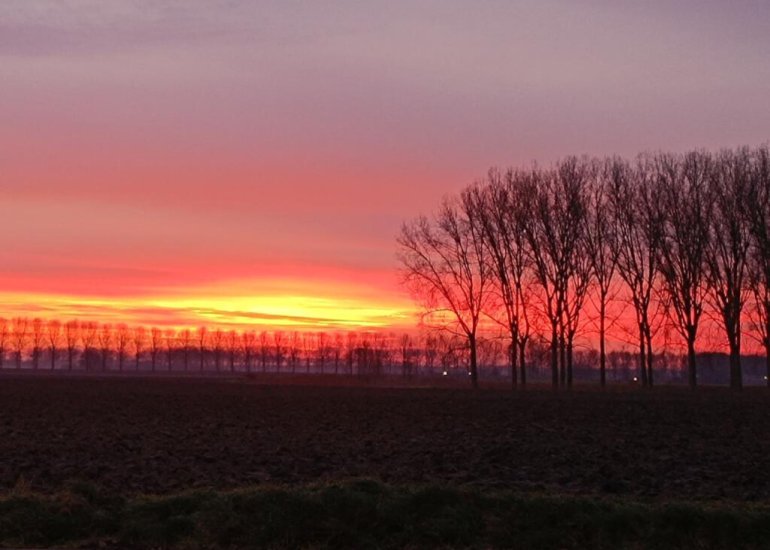  Klapstraat 37, Koewacht