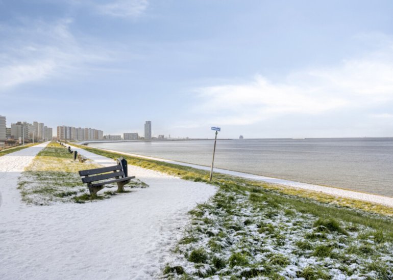  Pattistpark 142, Terneuzen