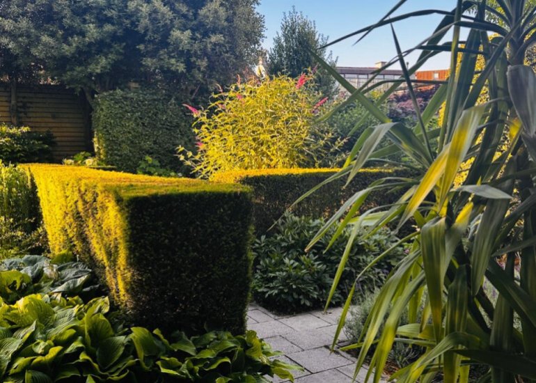  Grote Bagijnestraat 18, Hulst