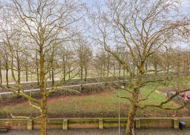  Minderbroedersstraat 64, Hulst