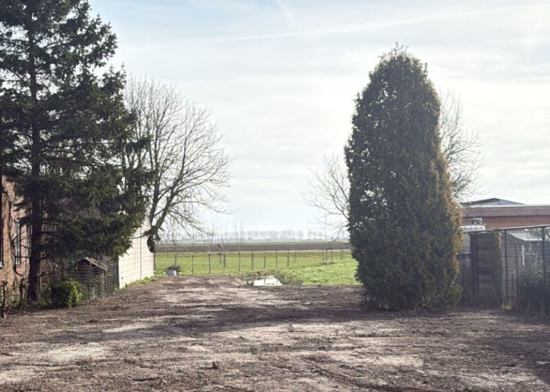  Rapenburg 124, Vogelwaarde