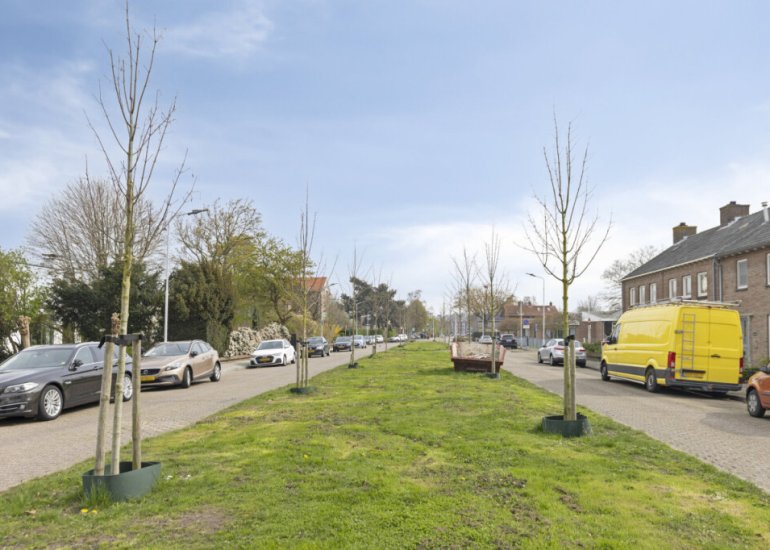  Willem Alexanderlaan 12, Terneuzen