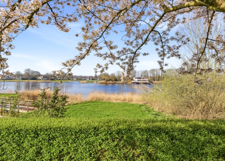  Waterhyacint 17, Terneuzen