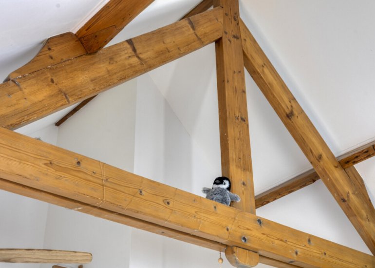  Groenendijk 68, Kloosterzande