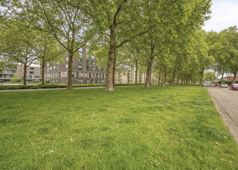  Willem Kloosstraat 26, Terneuzen