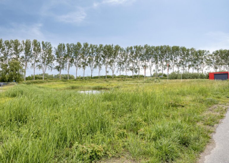  Kraanvogel 18, Terneuzen