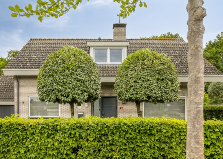  Amerstraat 42, Terneuzen