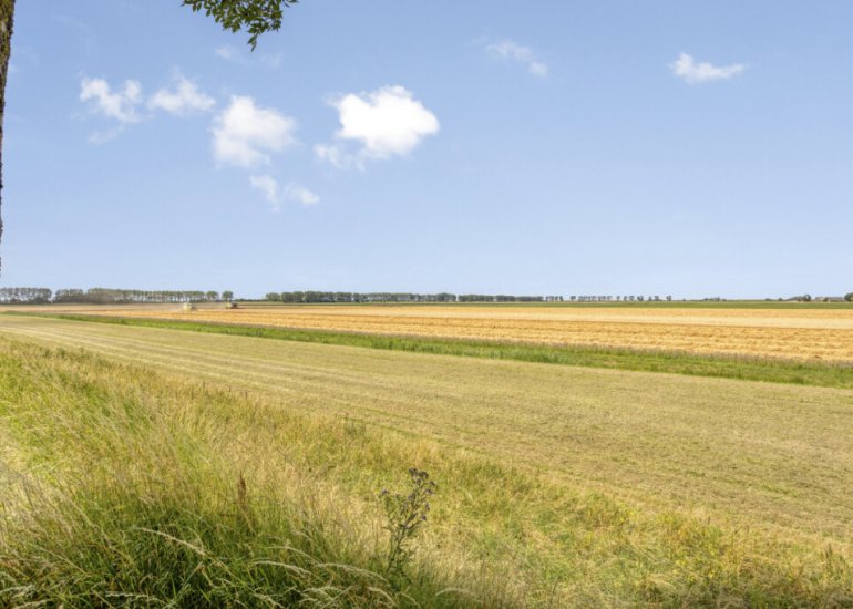  Graauwsedijk 29, Graauw