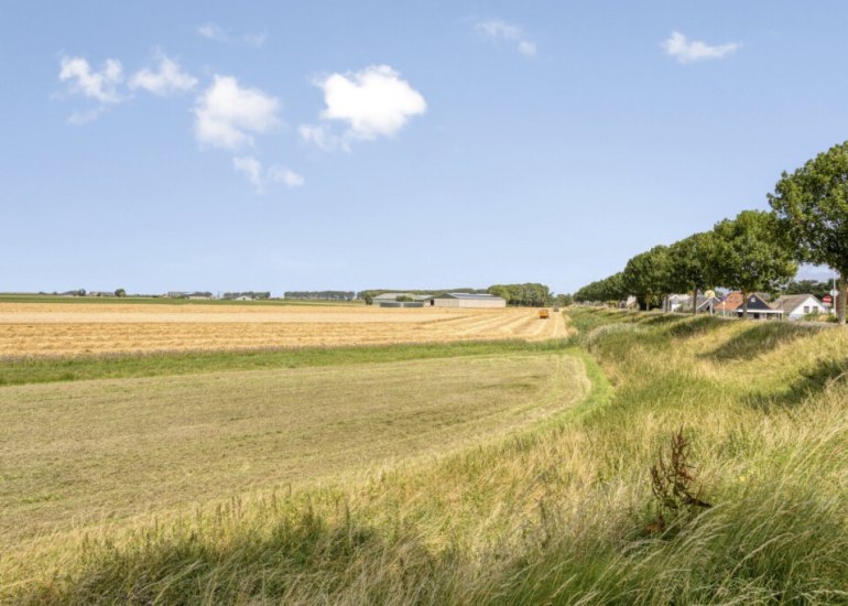  Graauwsedijk 29, Graauw
