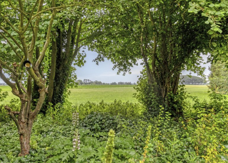  Ringdijk Zuid 20, Cadzand