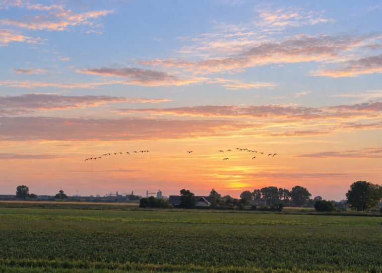  Oude Kaai 15, Graauw