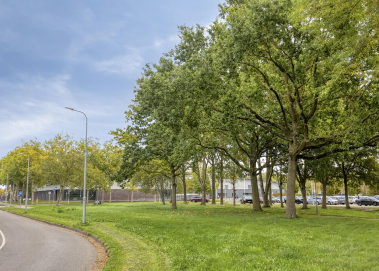  Valeriaanstraat 18, Terneuzen