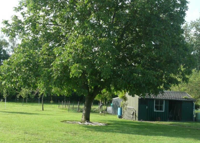  Hoofdweg Zuid 72, Zuiddorpe