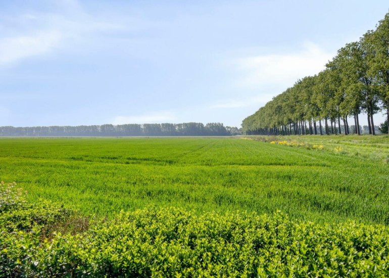 Overslagseweg 1, Zuiddorpe