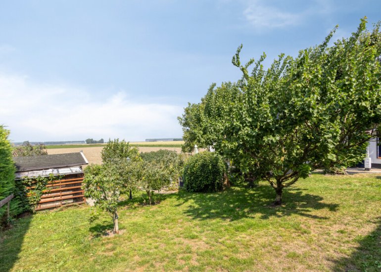  Kwakkel 17, Zaamslag