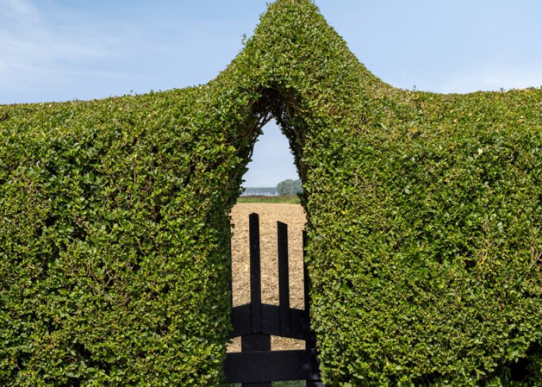  Kwakkel 17, Zaamslag