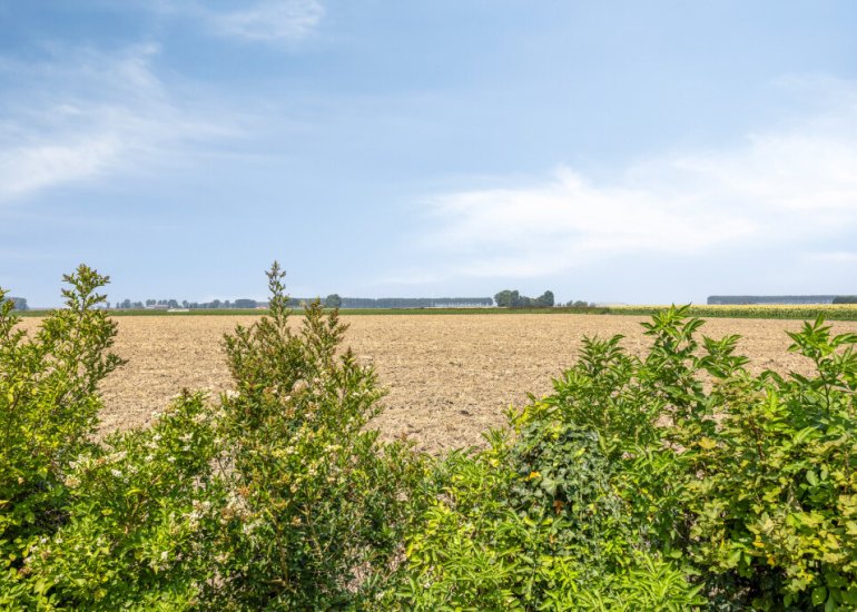  Kwakkel 17, Zaamslag