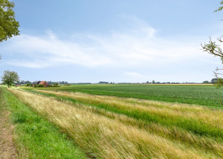  Hoek van de Dijk 9, Zaamslag