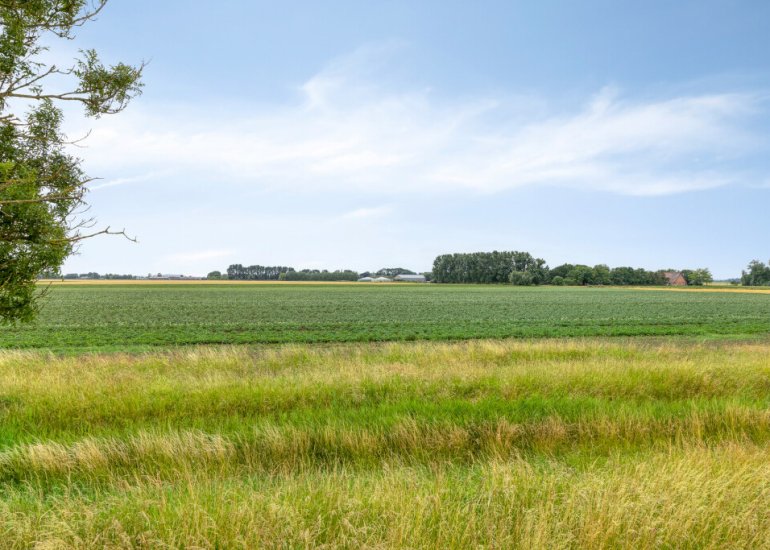  Hoek van de Dijk 9, Zaamslag