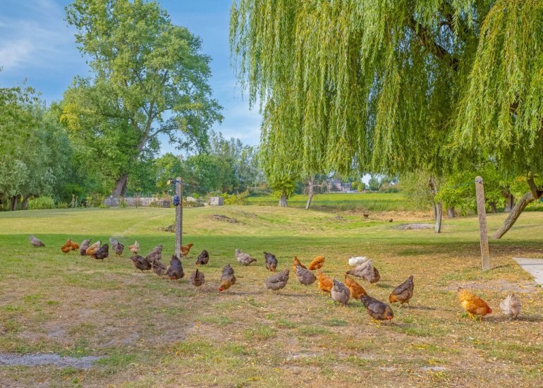  Hengstdijksekeiweg 4, Hengstdijk