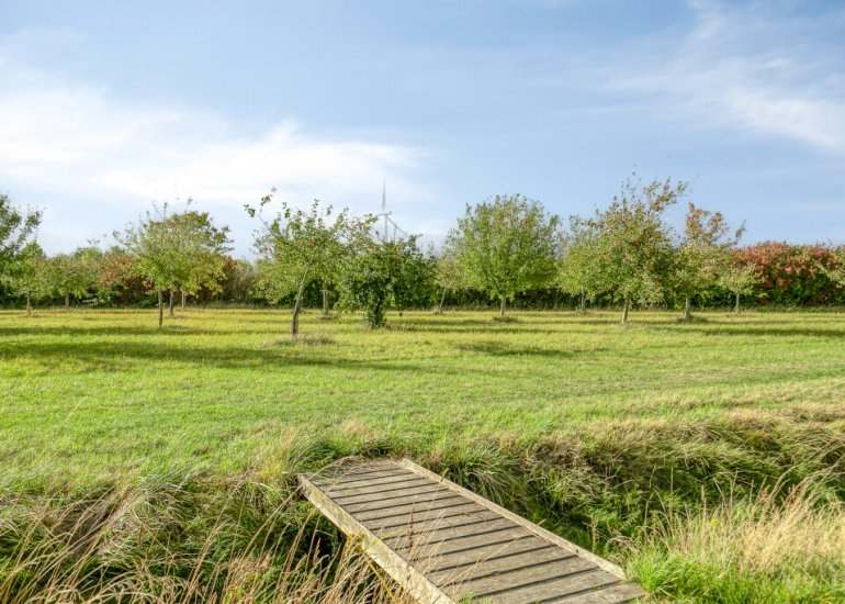  Graaf Jansdijk 60, Axel