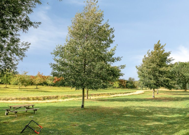  Graaf Jansdijk 60, Axel