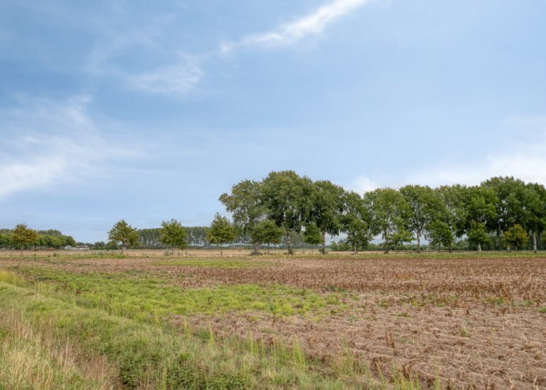  Hoofdweg Noord 14, Zuiddorpe