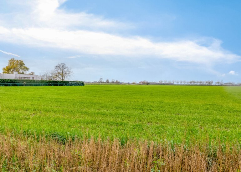  Zandbergsestraat 48, Graauw