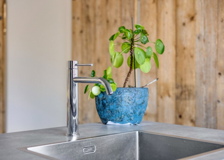  Wilhelminastraat 121, Sint Jansteen