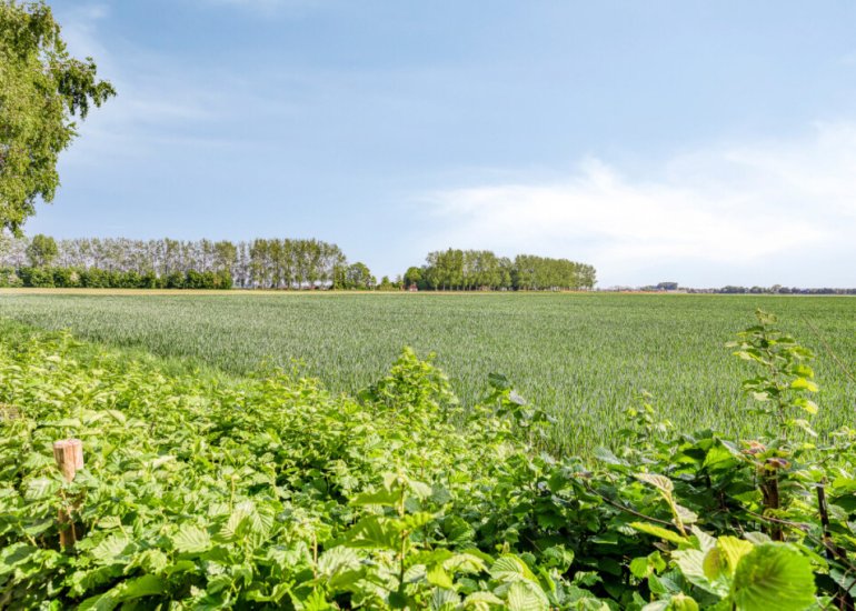  Hoefkensdijk 9, Kuitaart