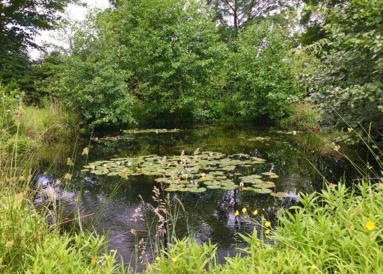  Ellestraat 41, Heikant