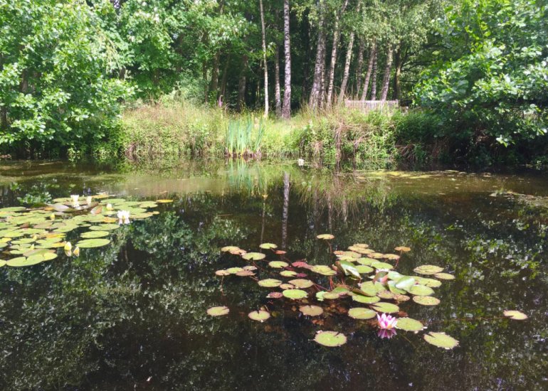  Ellestraat 41, Heikant