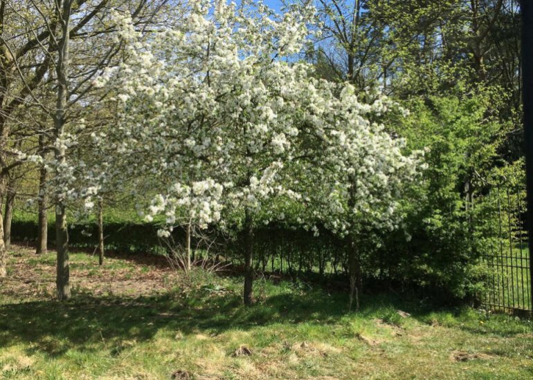  Ellestraat 41, Heikant