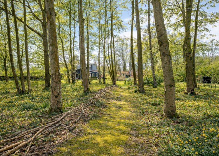  Ellestraat 41, Heikant