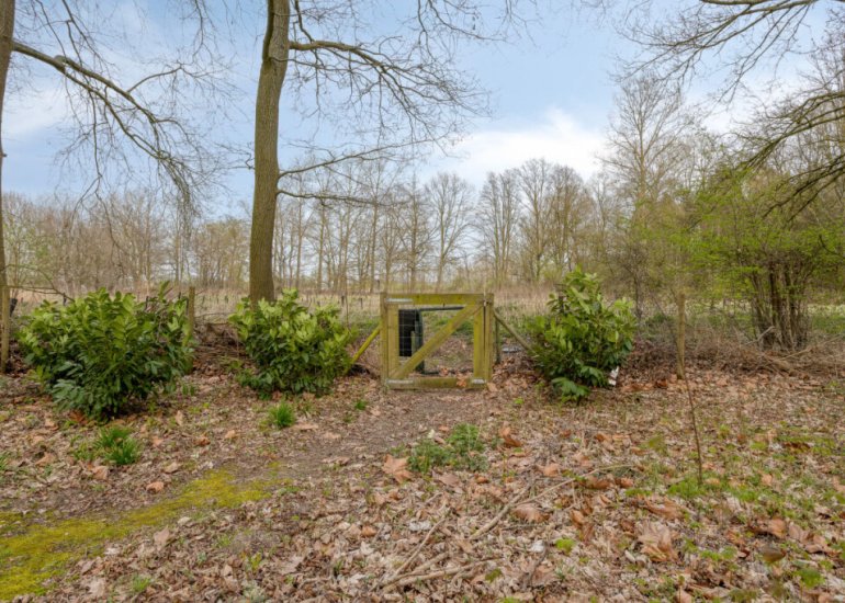  Ellestraat 41, Heikant