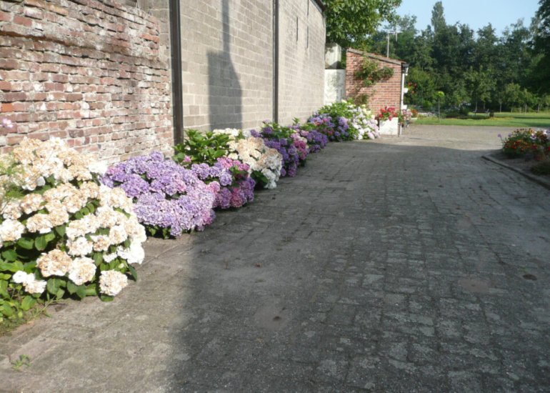  Hoofdweg Zuid 72, Zuiddorpe