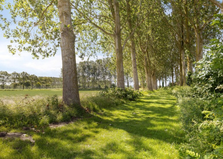  Hoofdweg Noord 1, Zuiddorpe