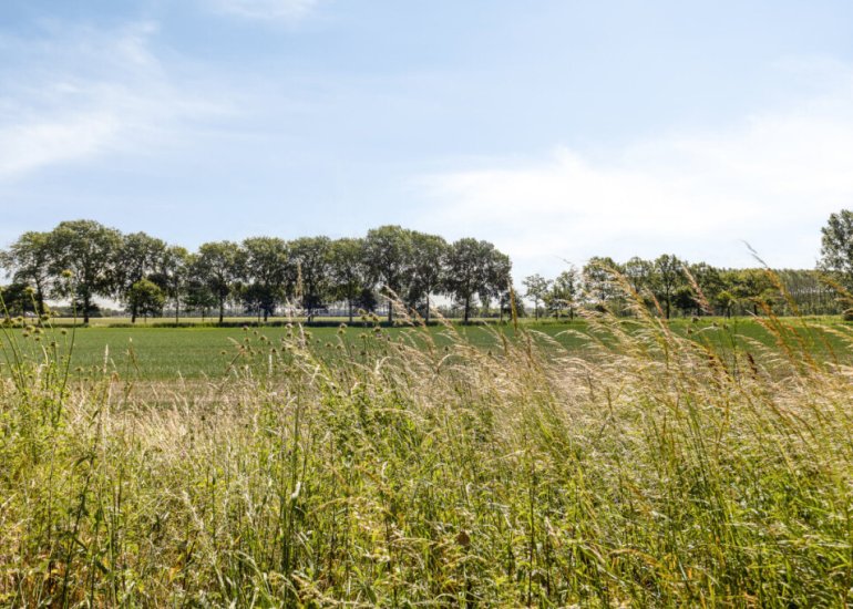 Hoofdweg Noord 1, Zuiddorpe
