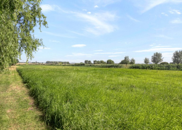 Klein Kanaalweg 20, Westdorpe