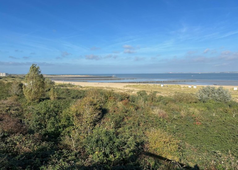  Westhavendam 171104, Breskens