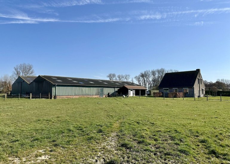  Barendijk 2, Groede