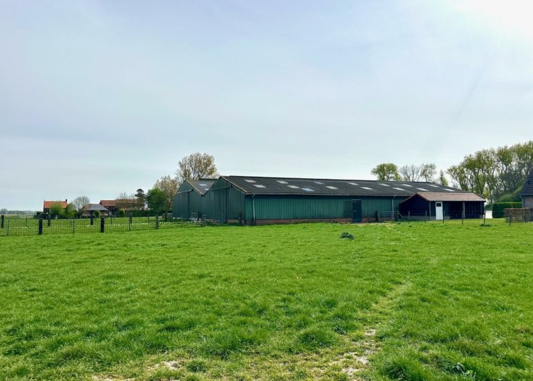  Barendijk 2, Groede