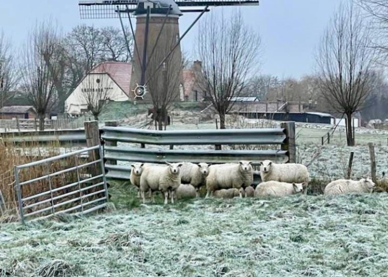  Jan Tooropstraat 30, Schoondijke