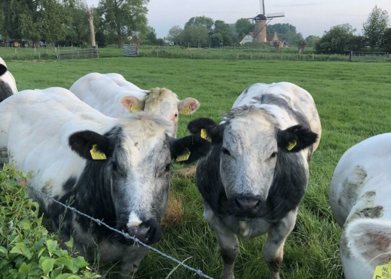  Jan Tooropstraat 30, Schoondijke
