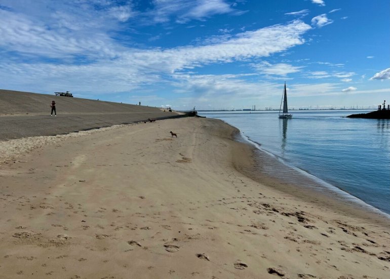  Westhavendam 15301, Breskens